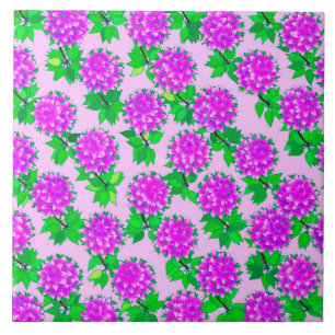 Flores Dahlia em violeta e orquídea