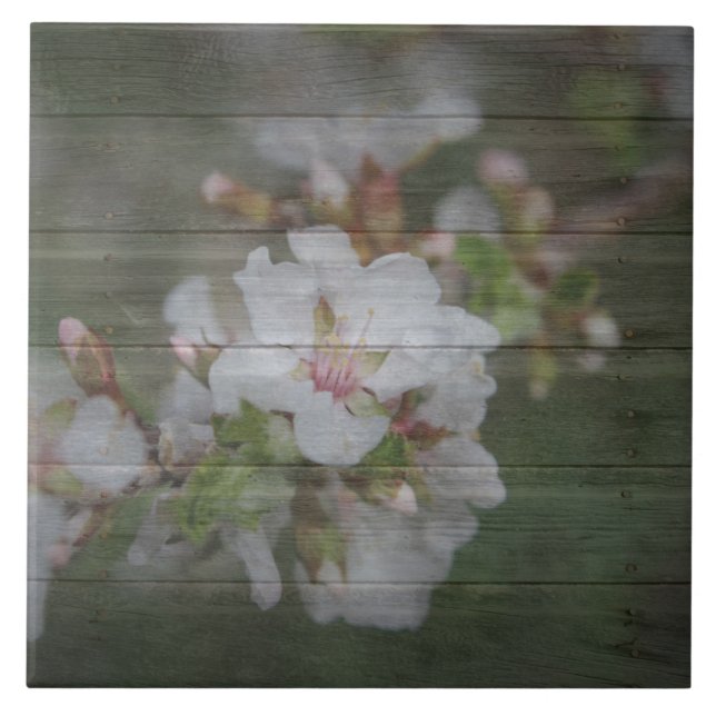 Flores de Apple e madeira resistida (Frente)