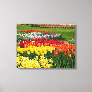 Flores de Arte de canvas