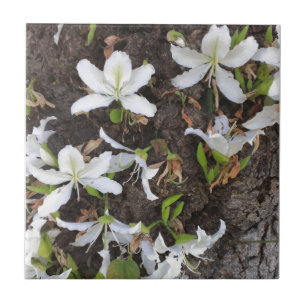 Flores de árvore