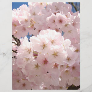 Flores de árvore cor-de-rosa Flores de papel de bo
