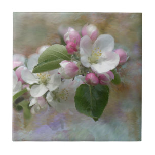 Flores de Árvore de Maçã