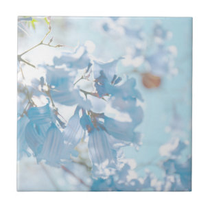 Flores de Árvore Pastel Soft Blue Jacaranda