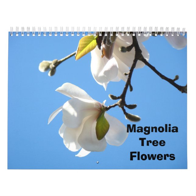 Flores de Árvores Magnolia Calendários de Fotograf (Capa)
