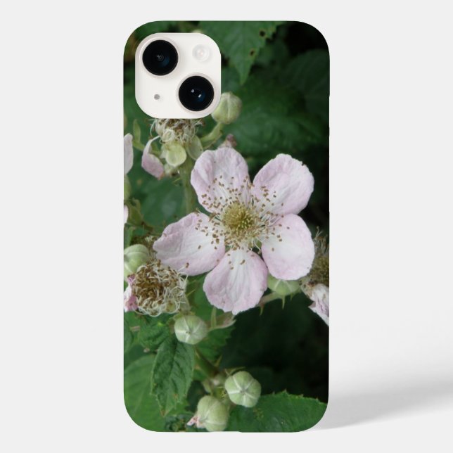 Flores de Blackberry (Verso)