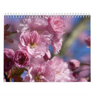 Flores de Calendário