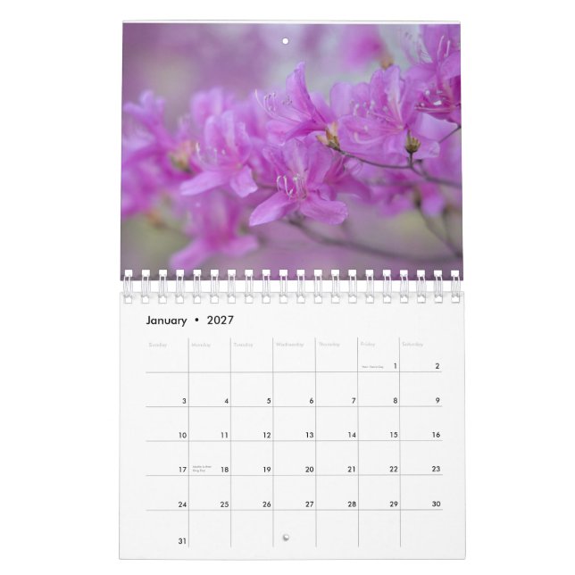 Flores de calendário (Jan 2027)