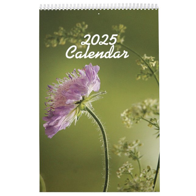 Flores de Calendário 2025 arquivadas (Capa)