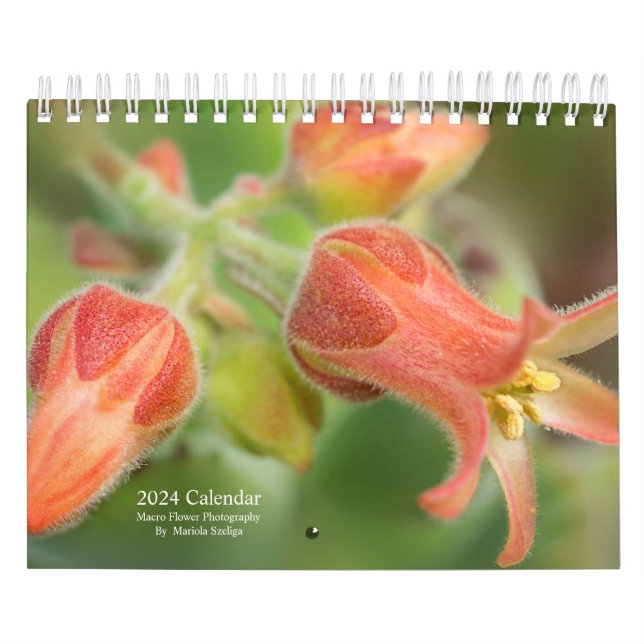 Flores de Calendário de Parede 2024 em Macro Fotog (Capa)