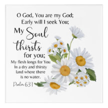 Flores De Camomila De Escritura De Bíblia Psalm 23