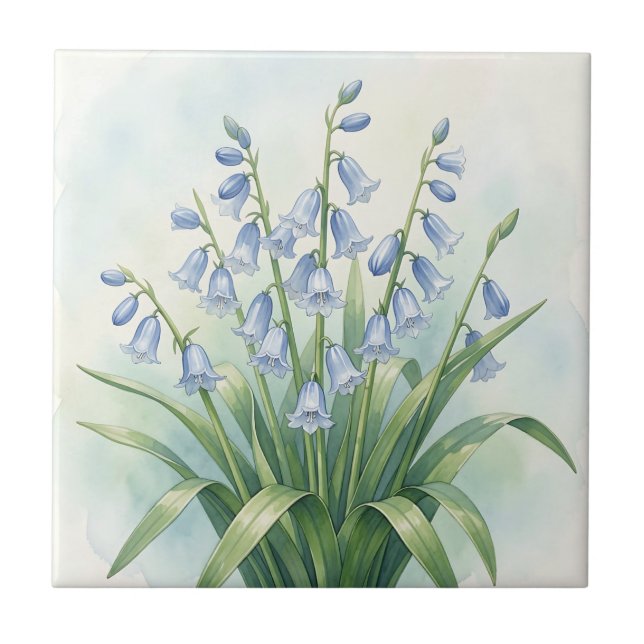 Flores de Campainha Azul Aquarela Botânica (Frente)