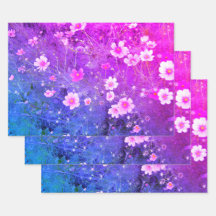 Flores de Cosmos Bipinnatus Rosa em Sangue de Chei