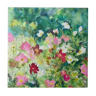 Flores de Cosmos de primavera Artista