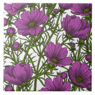 Flores de cosmos violetas
