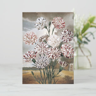 Flores de Cravos Variegados Vintage com Céu Cinza