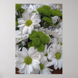 Flores de crisântemos Poster