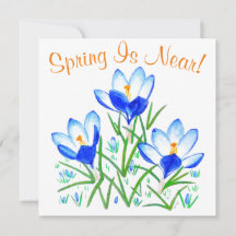 Flores de Crocus em Cartão Branco Plano