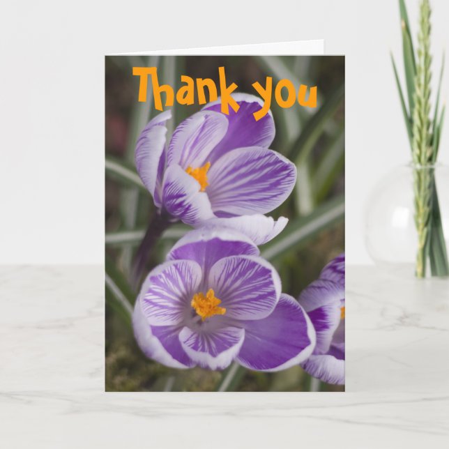 Flores de crocus roxas ... Cartão de agradecimento (Frente)
