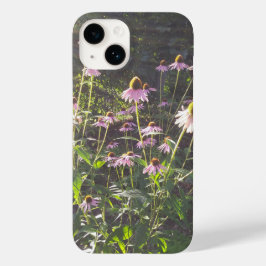 Flores de Echinacea ao Sol