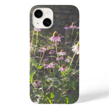 Flores de Echinacea no Sol