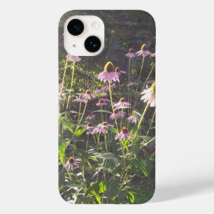 Flores de Echinacea no Sol