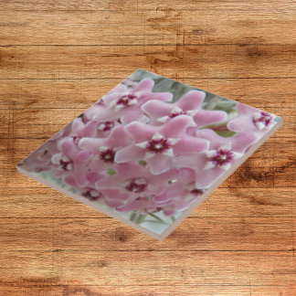 Flores De Fábrica De Hoya Rosa Floral
