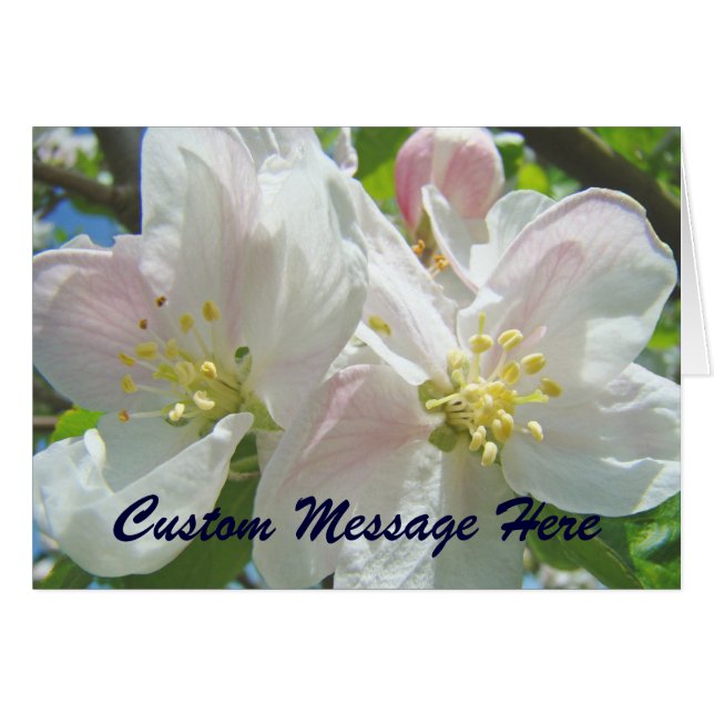 Flores de Flores de Maçã Cartões Personalizados Fl (Frente Horizontal)