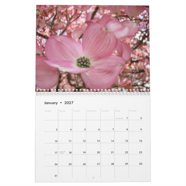 Flores de FLORESCÊNCIA dos presentes do calendário (Jan 2027)