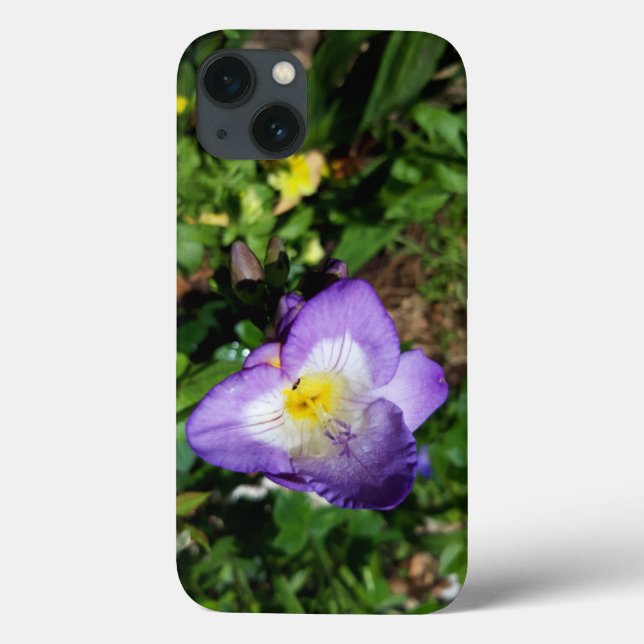 Flores de Freesia Roxo (Verso)