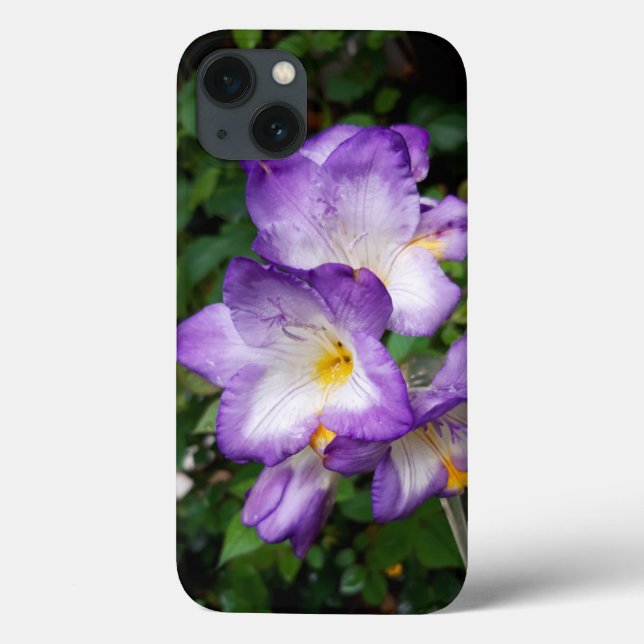 Flores de Freesia Roxo (Verso)