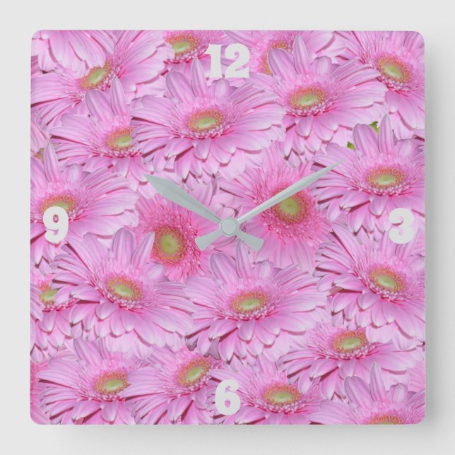 Flores de Gerbera Rosa, Relógio de Parede Quadrado (Frente)