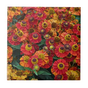 Flores de hélio vermelho e laranja