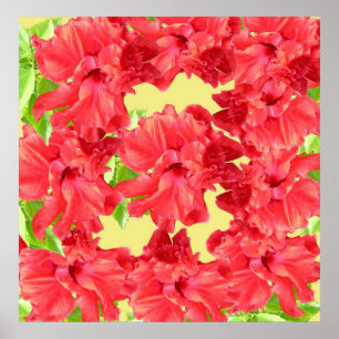 Flores de Hibiscus Vermelhas Poster Impressão