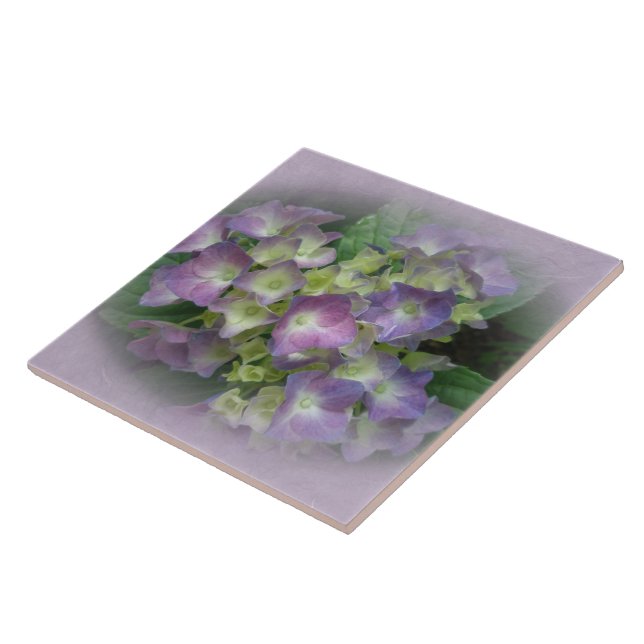 Flores de Hydrangea Azul Roxo (Lateral)