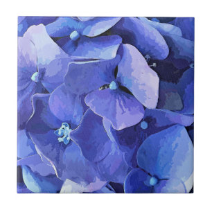FLORES DE JARDIM
