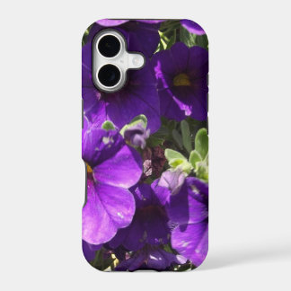 Flores de Jardim Roxo