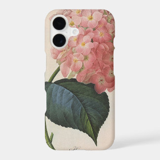 Flores De Jardim Vintage, Hidrangea Hortensia Rosa