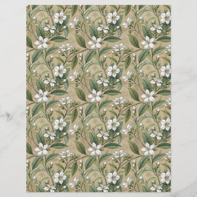 Flores de jasmim papel scrapbook botânico bege (Frente)