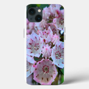 Flores de Laurel, Rosa e Montanha Branca