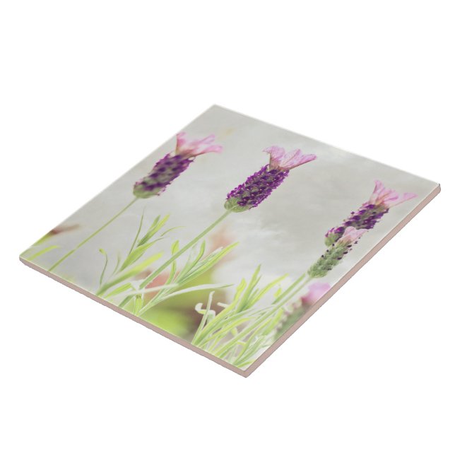 Flores de lavanda (Lateral)