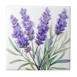Flores de Lavanda de Aquarela
