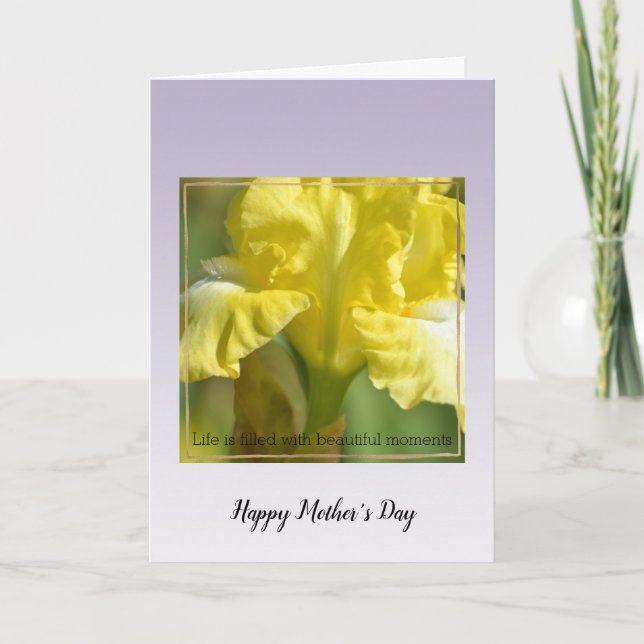 Flores de Lavanda Roxas Belo Cartão de Momento (Frente)