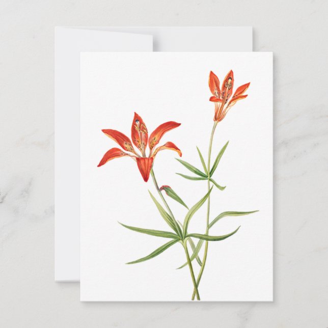 Flores de Lily Vermelhas - Cartão de Arte Botânica (Frente)