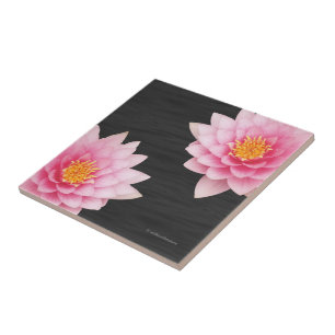 Flores de Lotus Rosa Flutuantes Elegantes
