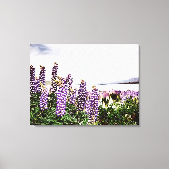 Flores De Lupins Roxos: Canvas Da Nova Zelândia (Frente)