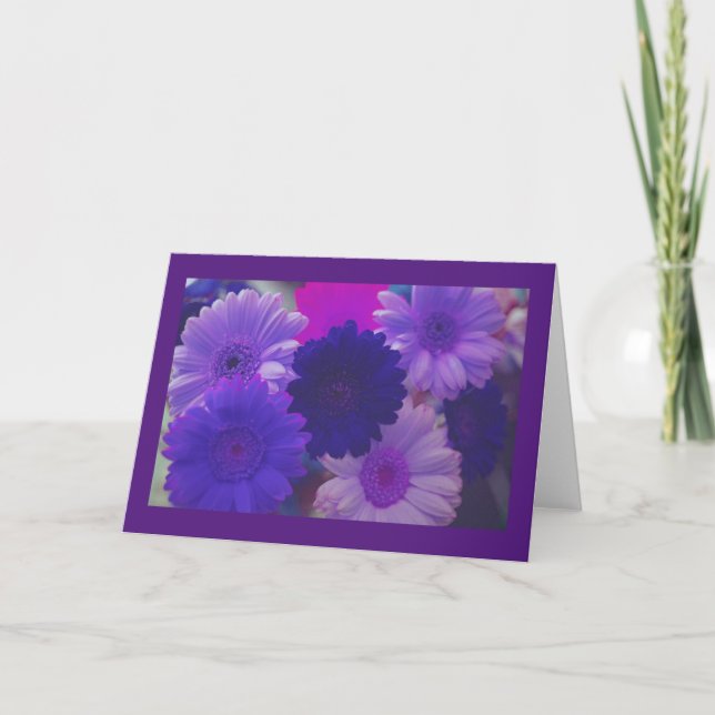 Flores de margarida roxas Cartões de saudação ou n (Frente)