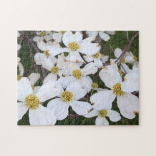 Flores de Mata Branca Quebra-cabeça de Fotografia
