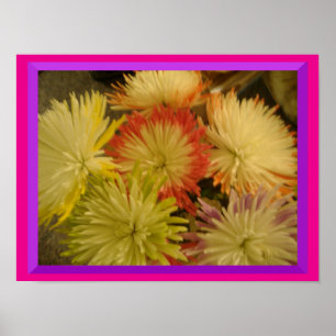 Flores de muitas cores Poster