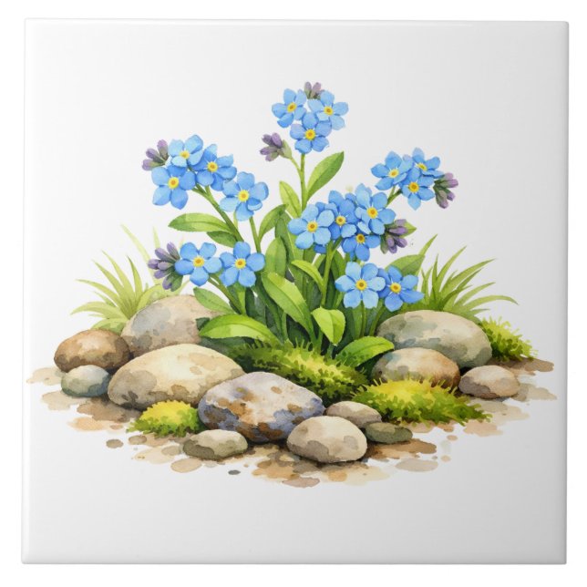 Flores de Não Me Esqueça em Aquarela pelas Rochas (Frente)