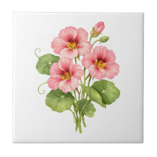 Flores de Nastúrcio Rosa em Aquarela